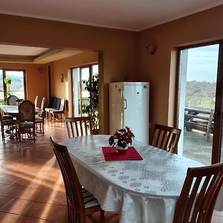 Vis Pension Viile Satu Mare Ngoại thất bức ảnh