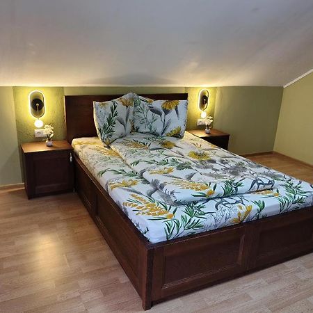 Vis Pension Viile Satu Mare Ngoại thất bức ảnh