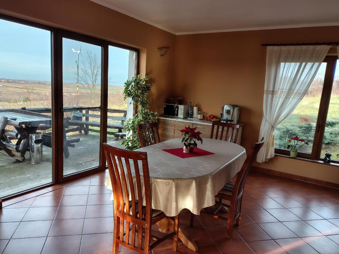 Vis Pension Viile Satu Mare Ngoại thất bức ảnh