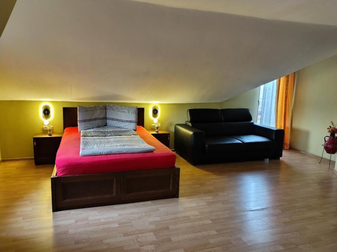 Vis Pension Viile Satu Mare Ngoại thất bức ảnh