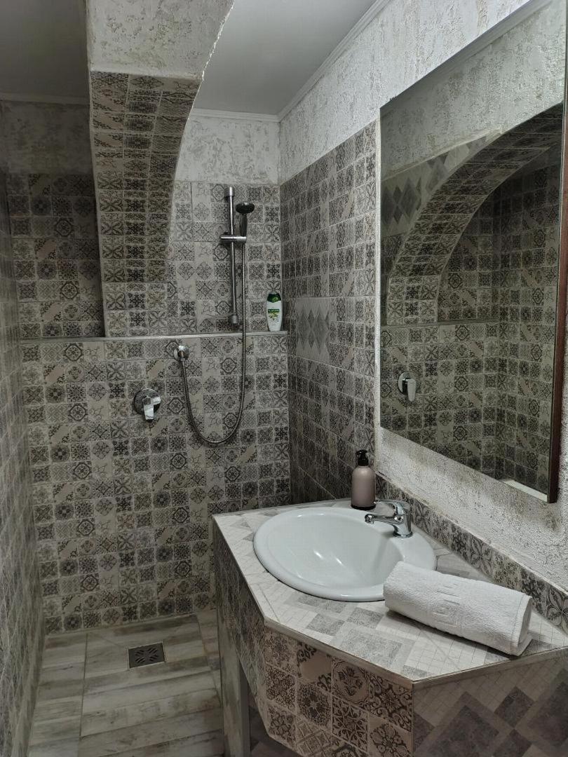 Vis Pension Viile Satu Mare Ngoại thất bức ảnh