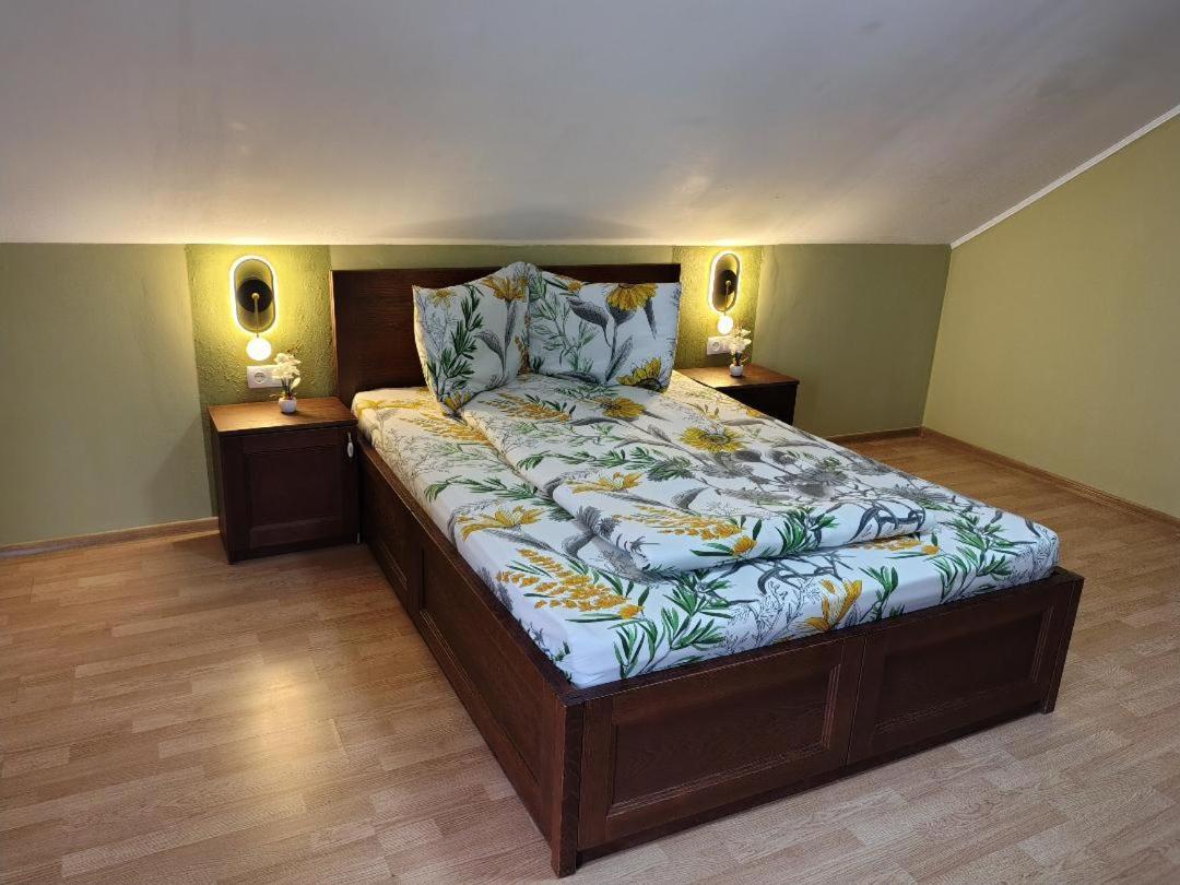 Vis Pension Viile Satu Mare Ngoại thất bức ảnh