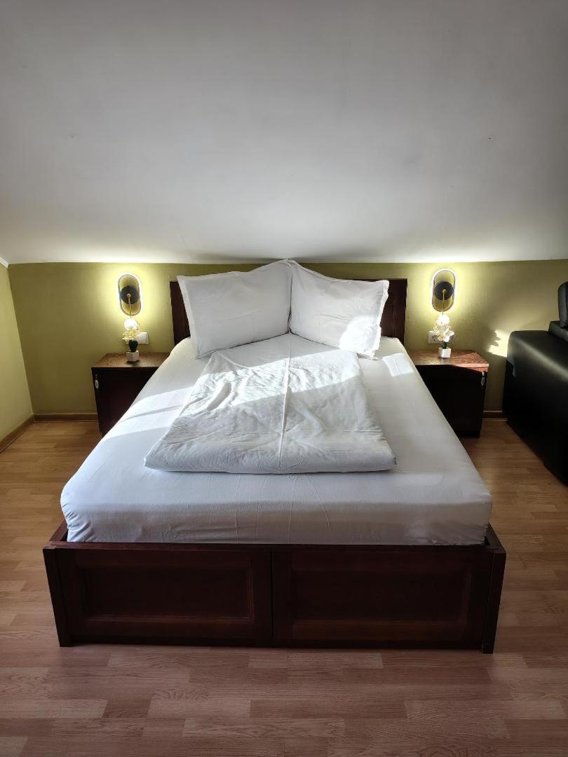 Vis Pension Viile Satu Mare Ngoại thất bức ảnh