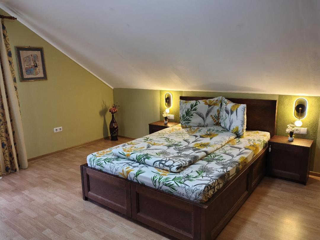Vis Pension Viile Satu Mare Ngoại thất bức ảnh