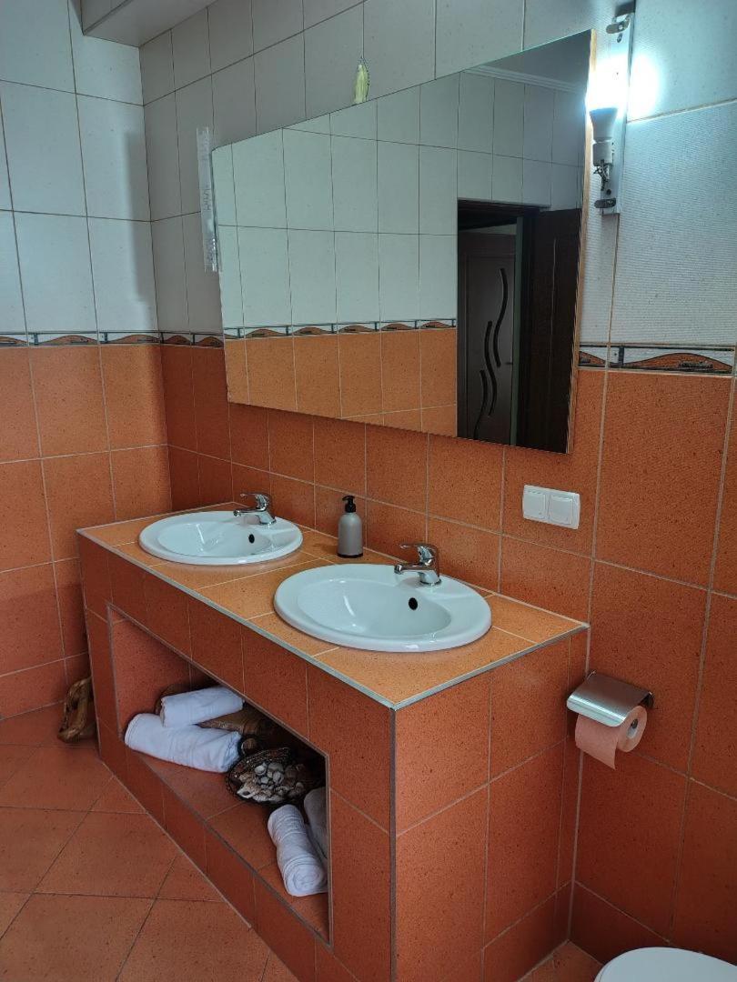 Vis Pension Viile Satu Mare Ngoại thất bức ảnh