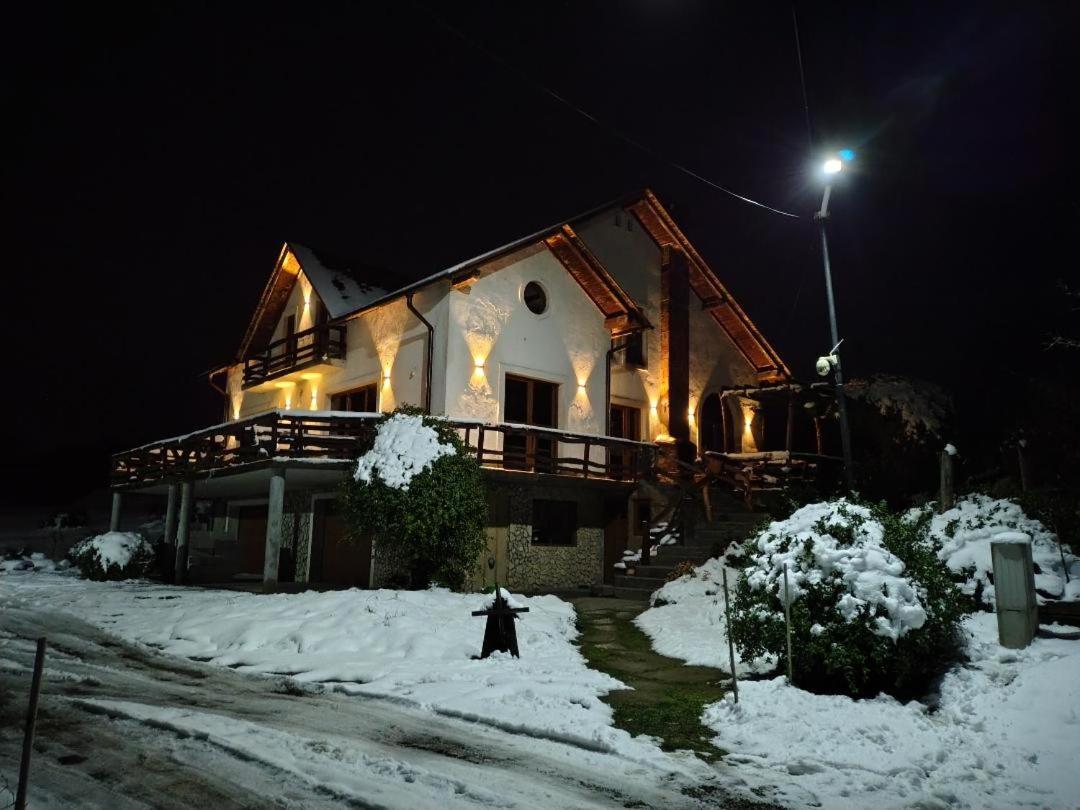 Vis Pension Viile Satu Mare Ngoại thất bức ảnh