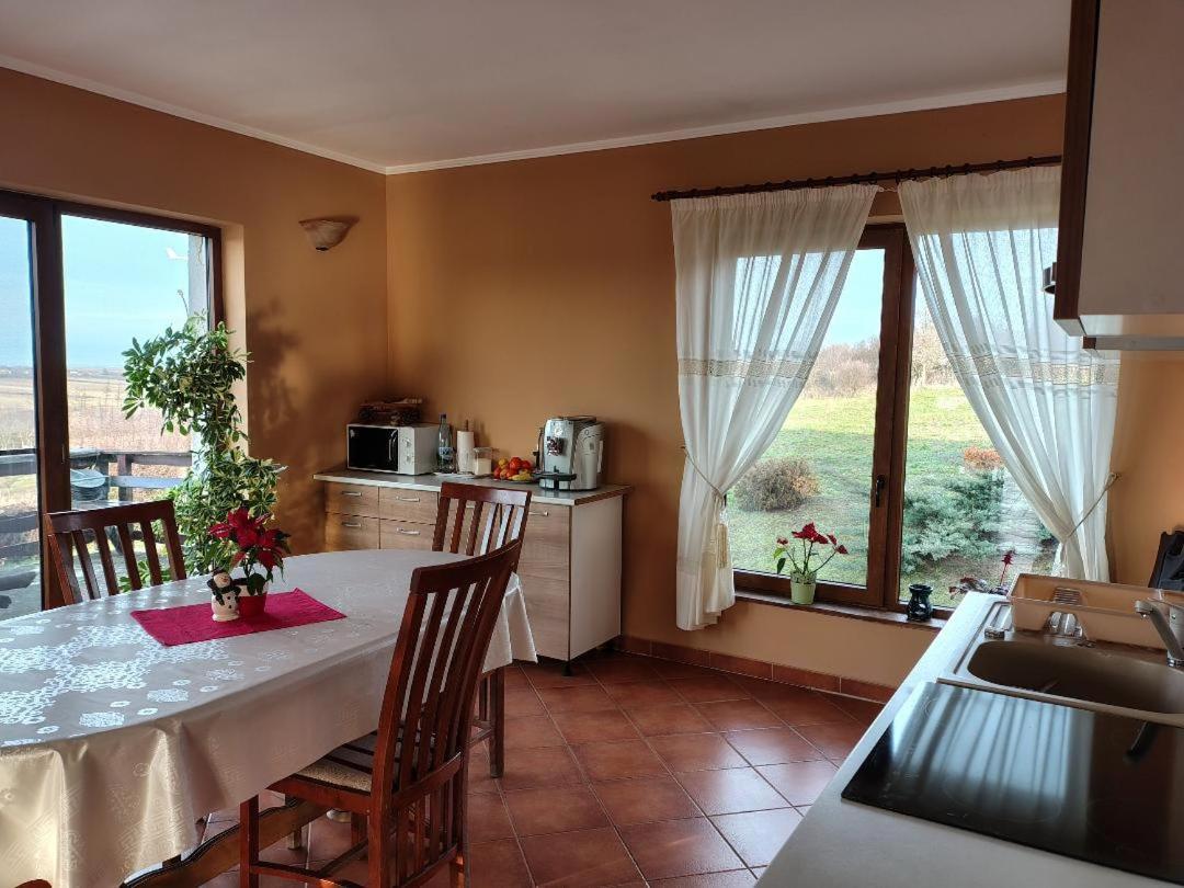Vis Pension Viile Satu Mare Ngoại thất bức ảnh