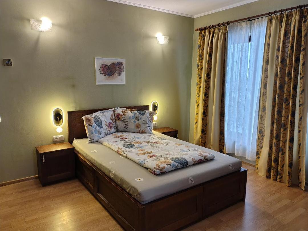 Vis Pension Viile Satu Mare Ngoại thất bức ảnh