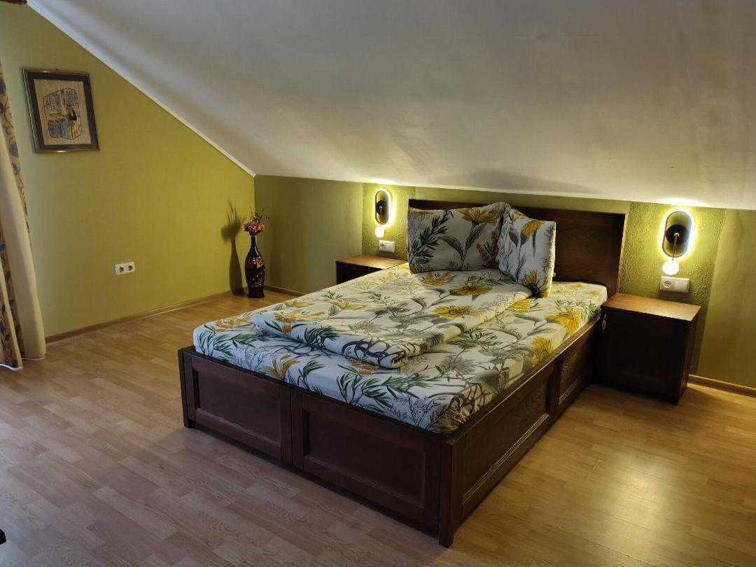 Vis Pension Viile Satu Mare Ngoại thất bức ảnh