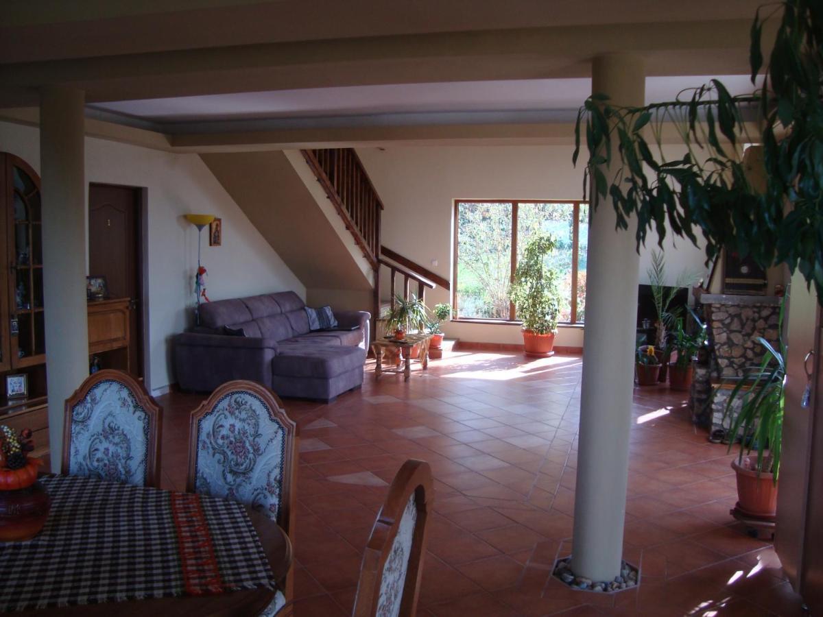 Vis Pension Viile Satu Mare Ngoại thất bức ảnh