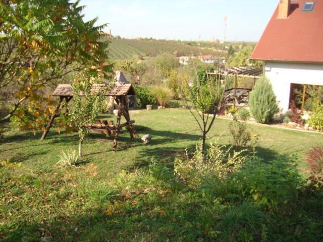 Vis Pension Viile Satu Mare Ngoại thất bức ảnh