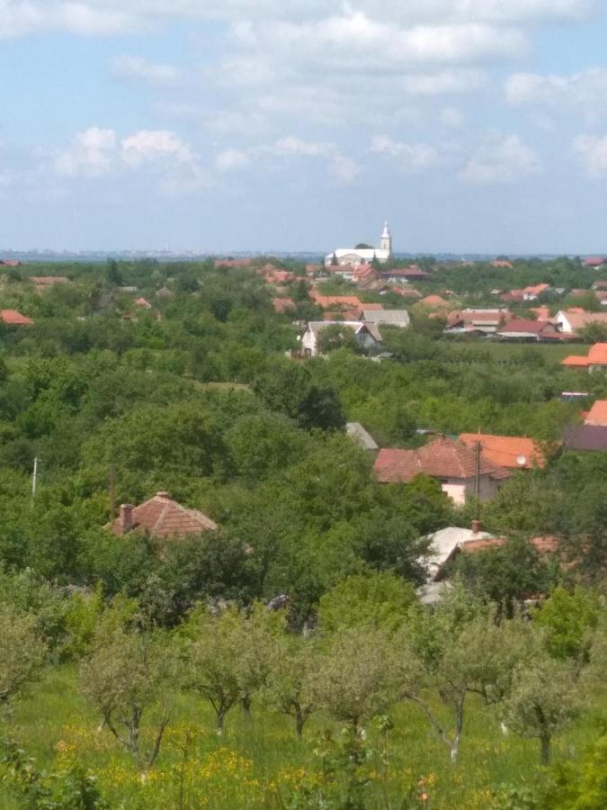 Vis Pension Viile Satu Mare Ngoại thất bức ảnh