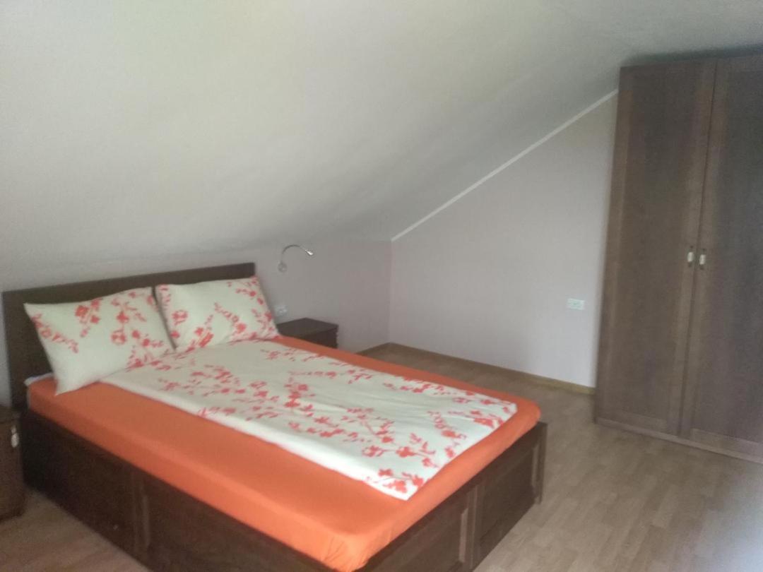 Vis Pension Viile Satu Mare Ngoại thất bức ảnh