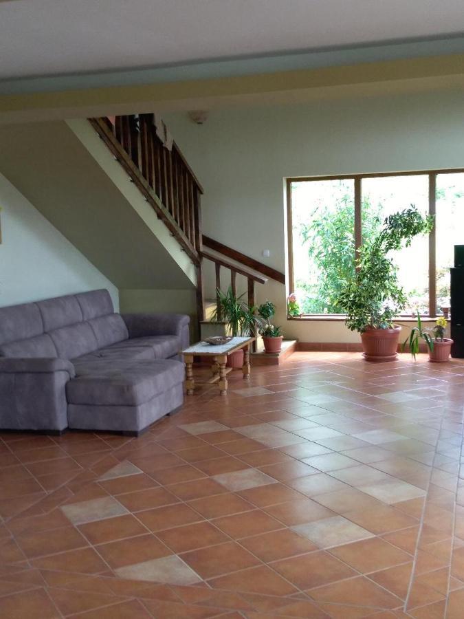Vis Pension Viile Satu Mare Ngoại thất bức ảnh