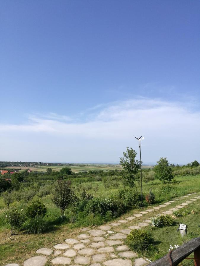 Vis Pension Viile Satu Mare Ngoại thất bức ảnh