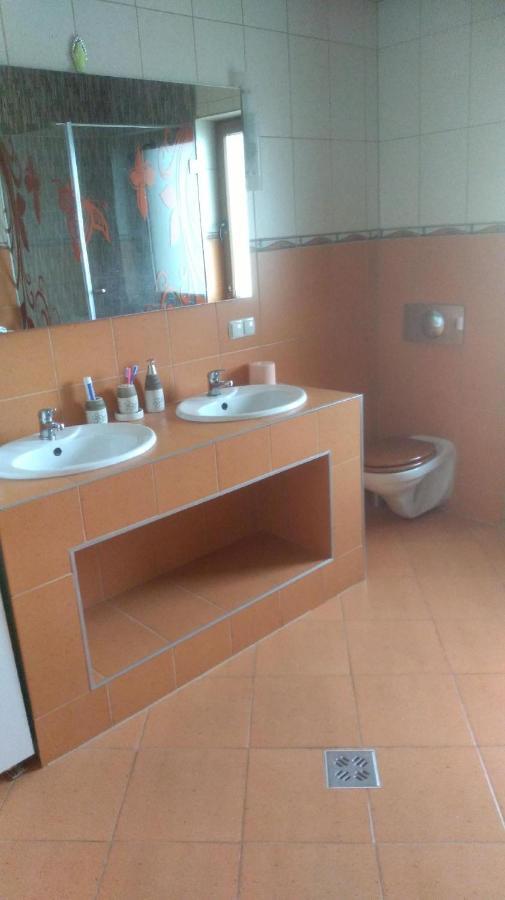 Vis Pension Viile Satu Mare Ngoại thất bức ảnh