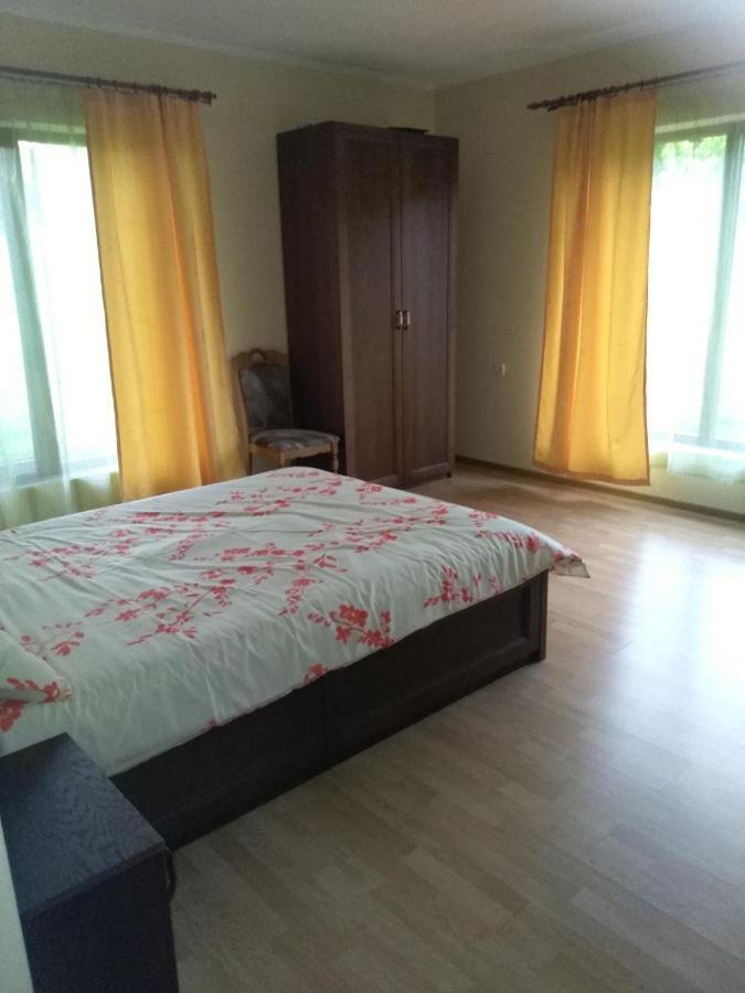 Vis Pension Viile Satu Mare Ngoại thất bức ảnh