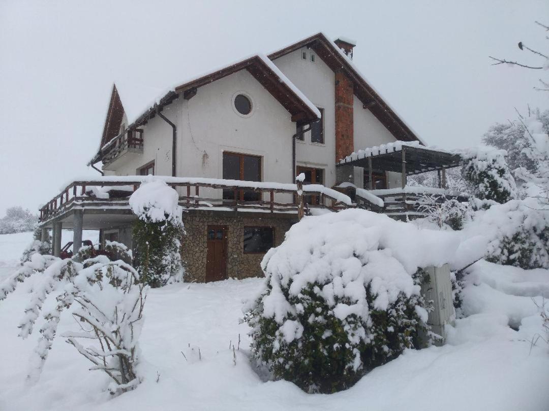 Vis Pension Viile Satu Mare Ngoại thất bức ảnh