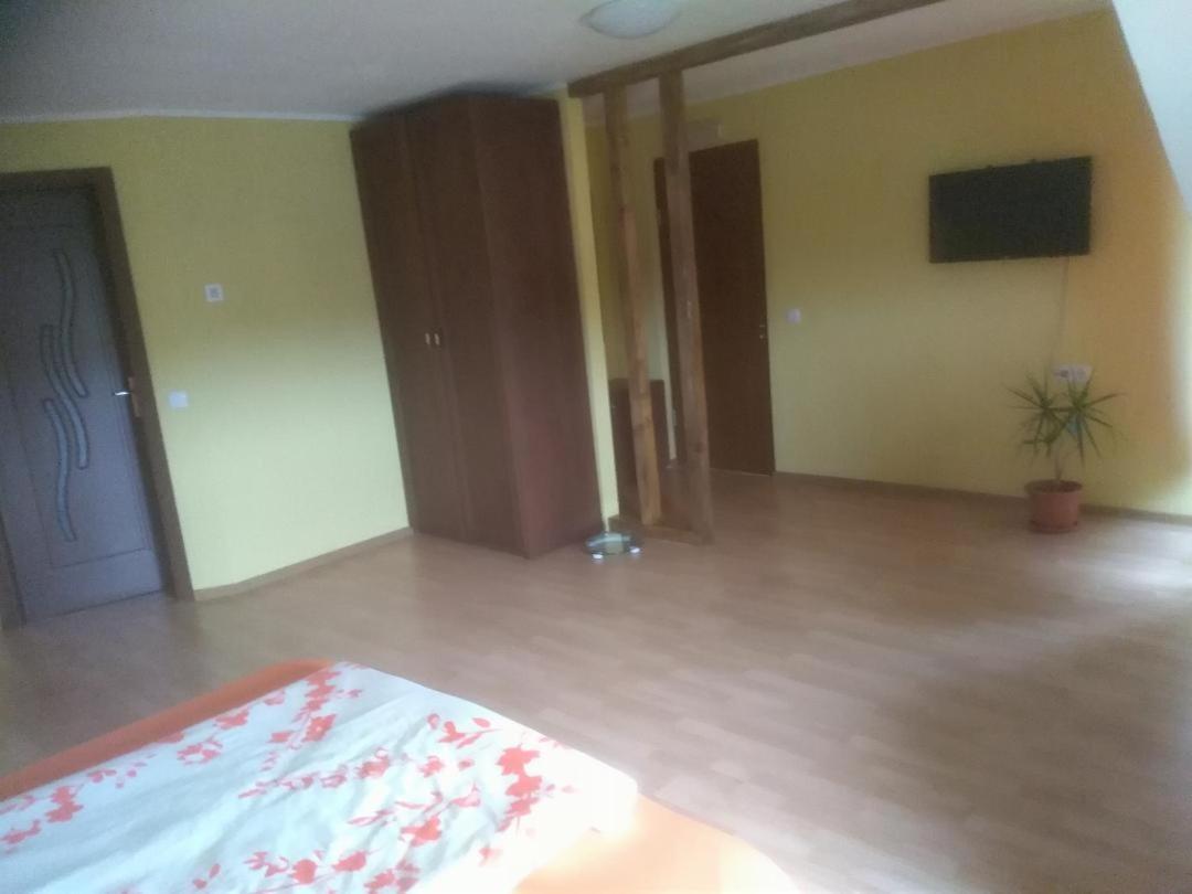 Vis Pension Viile Satu Mare Ngoại thất bức ảnh