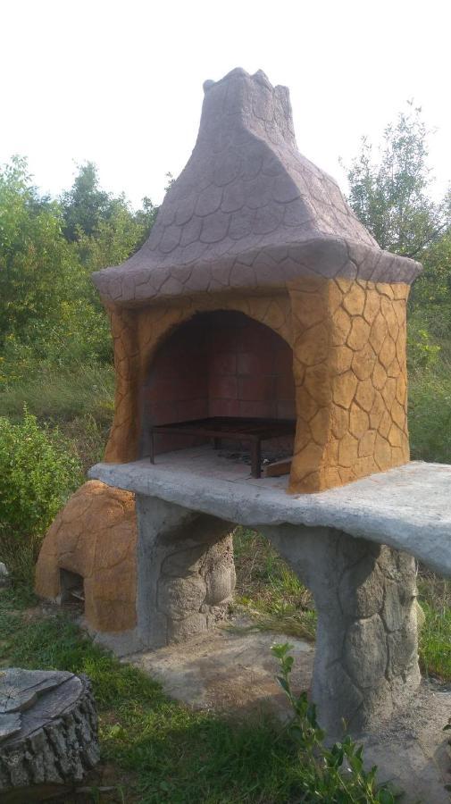 Vis Pension Viile Satu Mare Ngoại thất bức ảnh
