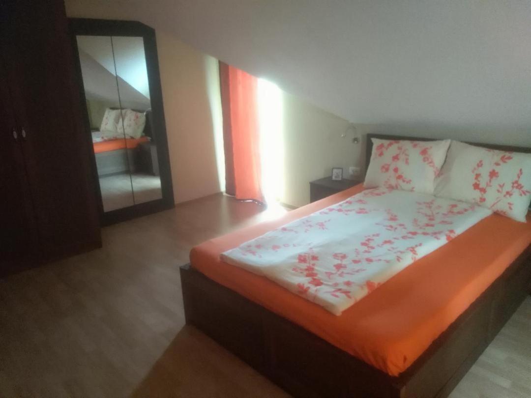 Vis Pension Viile Satu Mare Ngoại thất bức ảnh