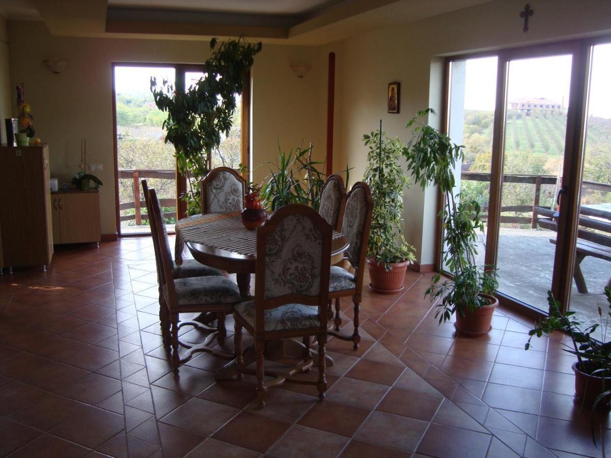Vis Pension Viile Satu Mare Ngoại thất bức ảnh